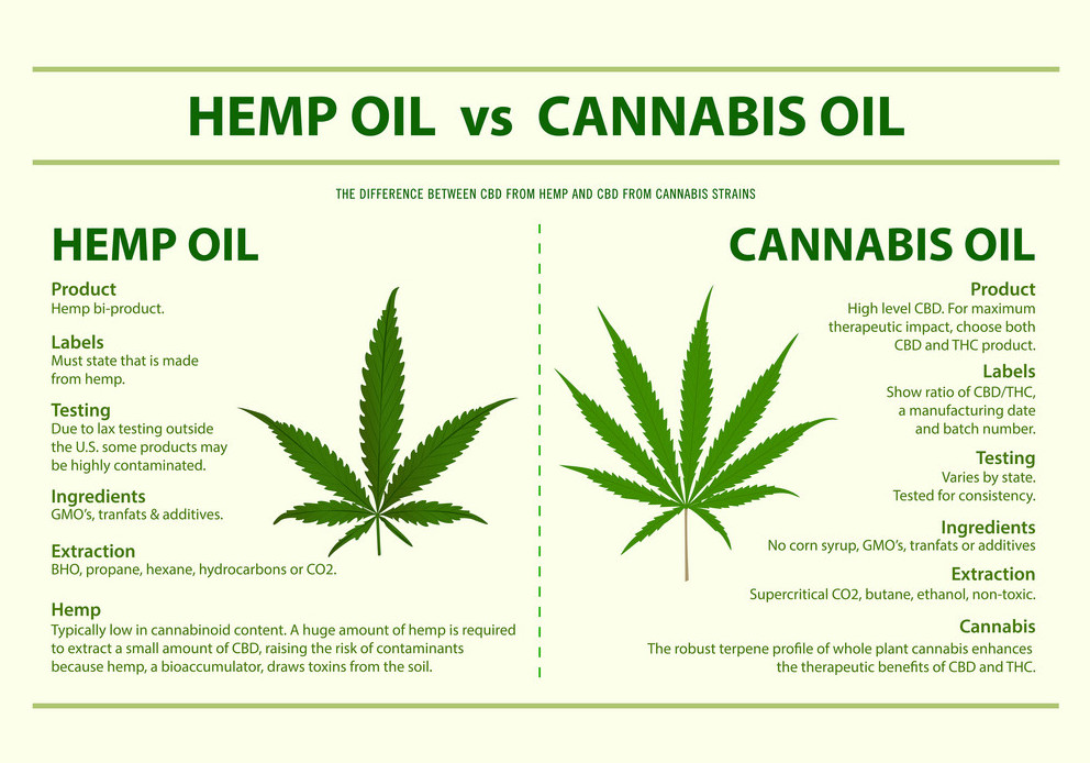 Hemp oil vs Cannabis oil infographic