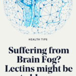Suffering from "Brain Fog"? Lectins might be to blame.