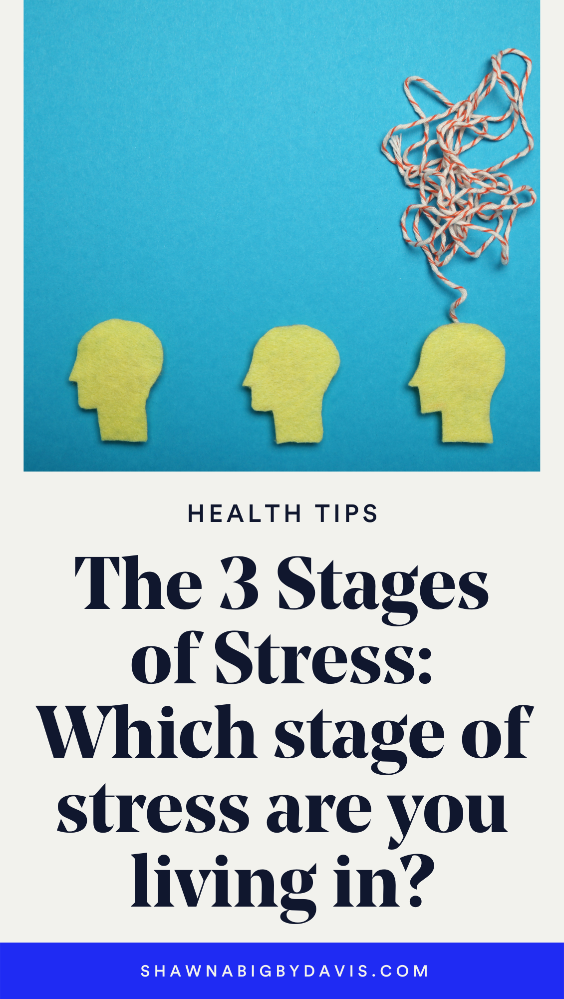 The 3 Stages Of Stress Shawna Bigby Davis