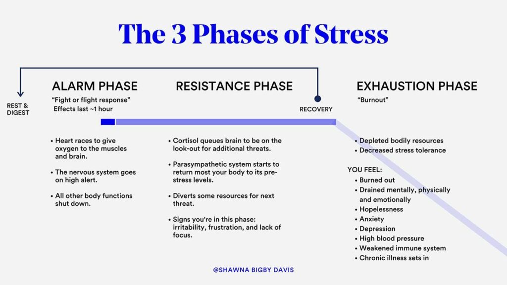 hans selye stress stages